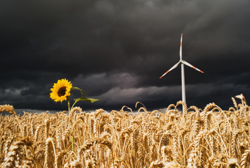 超拽的非主流个性签名_做不到让谁为我心疼 我