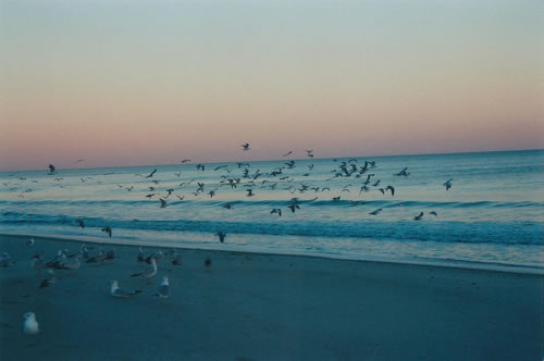 向那大海彼岸的天空_暖暖意境唯美风景QQ空