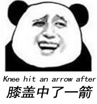 曾经我也是里一名体术流漫游_直到我膝盖中了