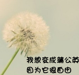 牵着你的手不放曲谱_牵着你的手不放开(3)