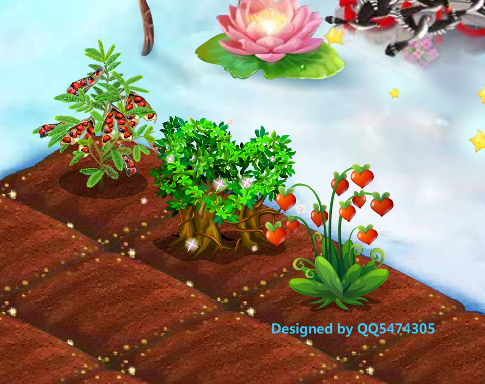 QQ农场七夕作物七彩皇后红豆连理枝乞巧相思