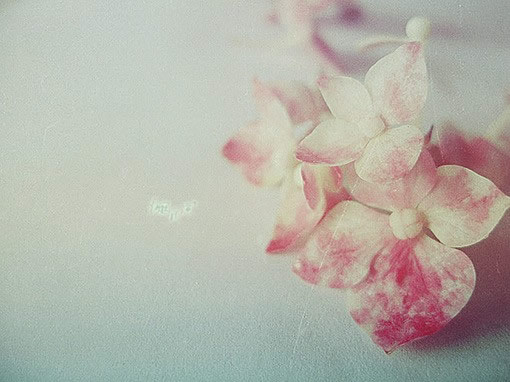 粉色唯美图片_甜美纯真的qq空间素材_qq下载