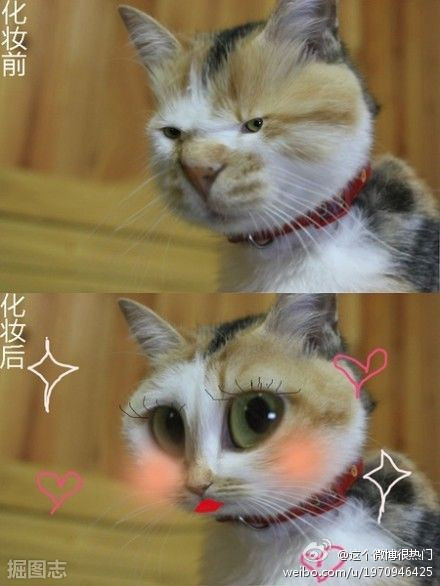 2012年愚人节搞笑qq空间素材图片_哥们别一脸