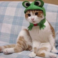 猫咪qq头像大全_不同风格的猫王头像