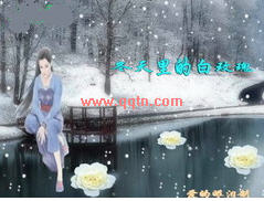 冬天里的白玫瑰