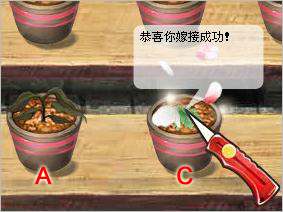 玫瑰小镇里的鲜花和玫瑰如何嫁接?_QQ下载网