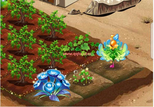 一起见证海洋之心和炫舞之星_QQ下载网