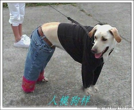 丫丫最新收集的惊人表情_QQ下载网