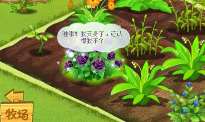 获取QQ农场路易十四玫瑰方法_QQ下载网