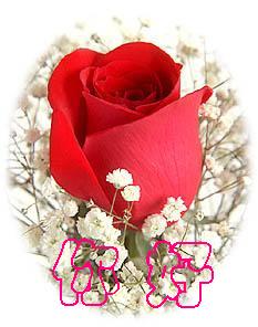 问候QQ表情QQ表情问候语大全_QQ下载网