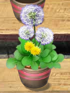 玫瑰小镇嫁接表 不可思议的嫁接_QQ下载网