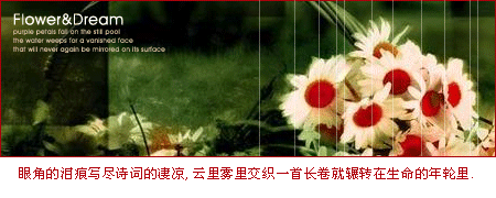 盛开只是一种过去_动态好看的非主流QQ空间