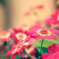 高清的卡通QQ头像 QQ空间素材头像_QQ下载