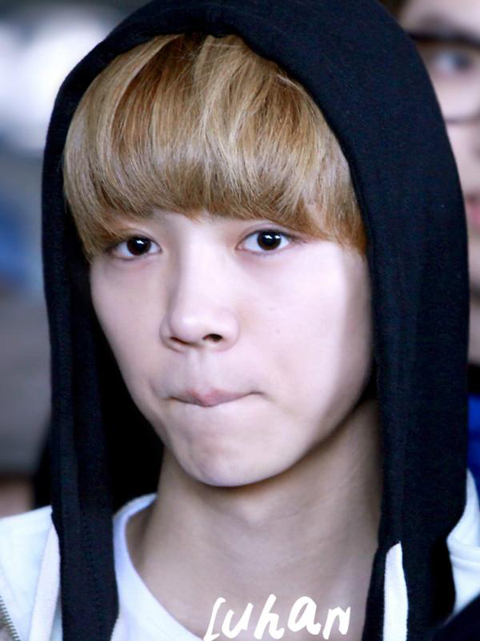 exo鹿晗图片大全2014最新版的 鹿晗空间皮肤