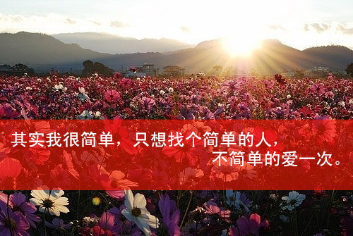 李宫俊文字控图片大全 伤感qq空间素材带字的