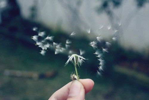 2014最励志的qq网名大全