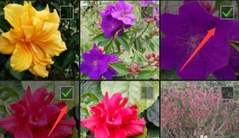 空间说说怎么同步到微信朋友圈2016_腾牛网