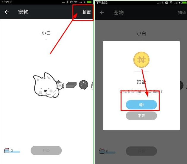 念app宠物怎么玩 念app宠物获取方法_QQ下载