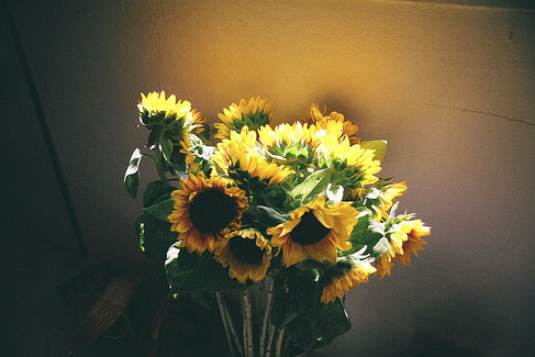 微信相册封面图片唯美治愈系 你和我的回忆丢