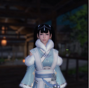 天涯明月刀2016新年特惠外装饰品价格及外观