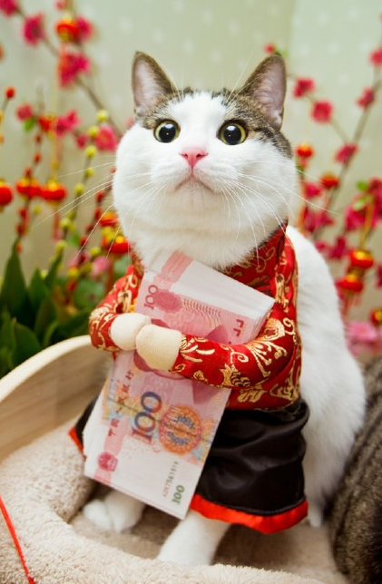 6猴年手机壁纸 春节过年好看的手机壁纸大全_