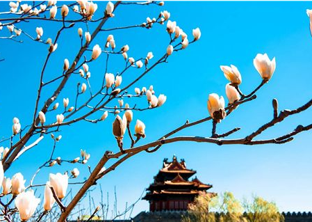 立春是什么意思 2016立春是几点_腾牛网