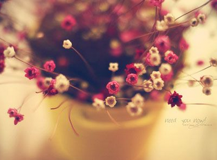 简单文艺的女生qq网名最新版设计 喜欢我的样