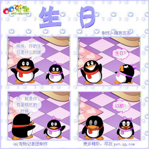 qq宠物生活四格漫画第3辑(4)_qq下载网