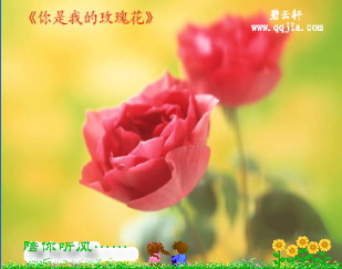 开始下载关闭窗口 qq场景 你是我的玫瑰花