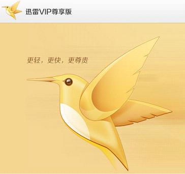 迅雷会员尊享版本地VIP6最终珍藏版2027免更新版